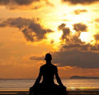 Human | मानव Human | मानव