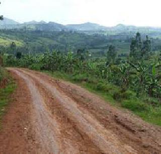 The warehouse from Vadli to Mhasla road | वडवली फाटा ते म्हसळा रस्त्याची दैना