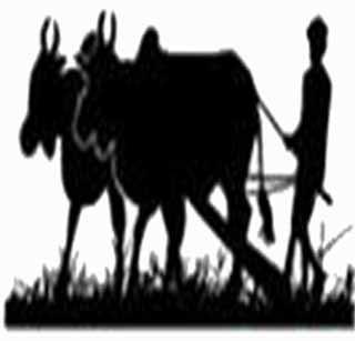 Last Payee 42.83 Money | अंतिम पैसेवारी ४२.८३ पैसे Last Payee 42.83 Money | अंतिम पैसेवारी ४२.८३ पैसे