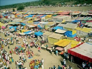 Shankarapat of Talegaon | तळेगावचा शंकरपट Shankarapat of Talegaon | तळेगावचा शंकरपट