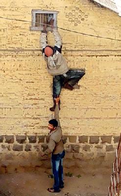 The duck stuck in the net. | जाळीत अडकलेलं कबुतर वाचलं..