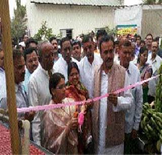 Suicidal farmers help families | आत्महत्याग्रस्त शेतकरी कुटुंबांना मदत