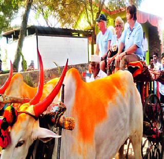 Welcome to Canada's Filled Guests | स्वागताने कॅनडाचे पाहुणे भारावले