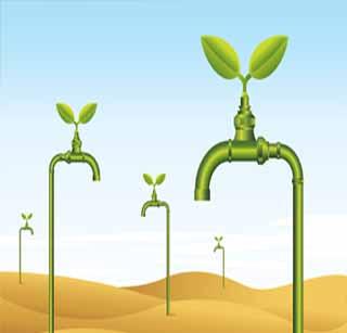 Under the dryland campaign, water management is full of water management! | कोरडवाहू अभियानातंर्गत राज्यात जलसंचय व्यवस्थापनावर भर !