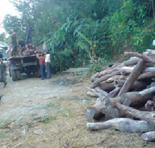 The disguise of forest department in the industrial area of ​​the country | उद्योगनगरीतील विनापरवाना वखारींकडे वनविभागाची डोळेझाक