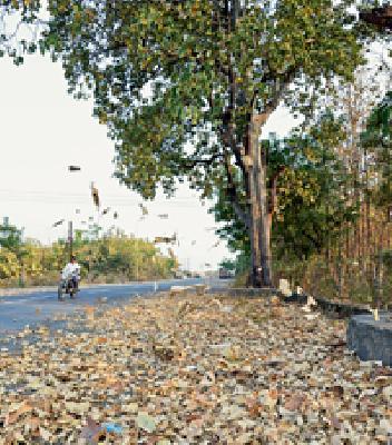 Spring of Creativity: | सृजनाचा वसंत :