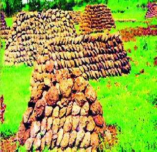 The choice of bows on chemical savings on fuel | रसायनीत इंधन बचतीवर गोवऱ्यांचा पर्याय