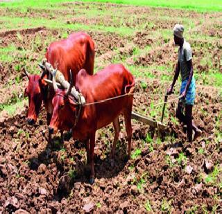 Rights of 60 thousand farmers! | ६० हजार शेतकऱ्यांचा हक्क हिरावला !