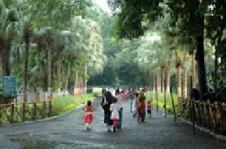 Please send 'Master Plan' to Maharaj Bagh | महाराज बागचा ‘मास्टर प्लान’ पाठवा