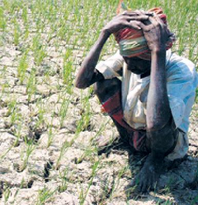 Give the package amount to the farmers in eight days | पॅकेजची रक्कम आठ दिवसात शेतकऱ्यांना द्या Give the package amount to the farmers in eight days | पॅकेजची रक्कम आठ दिवसात शेतकऱ्यांना द्या