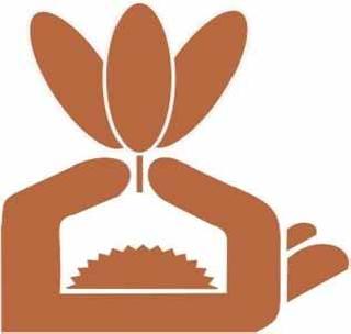 Leprosy detection campaign from Feb 16 | १६ फेब्रुवारीपासून कुष्ठरोग शोध मोहीम