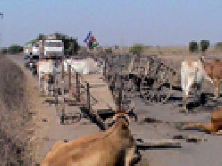 Farmers blocked the road for five hours | शेतकऱ्यांनी रोखला पाच तास रस्ता Farmers blocked the road for five hours | शेतकऱ्यांनी रोखला पाच तास रस्ता