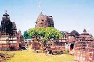 ST ready for Shiva Bhakt | शिवभक्तांसाठी एसटी सज्ज