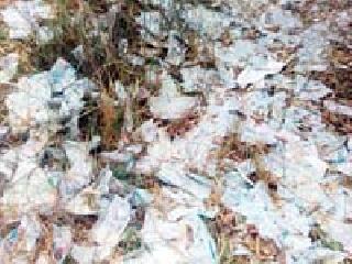 BJP threw the publicity material in the canal | भाजप प्रचार साहित्य कॅनलमध्ये फेकले