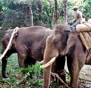 17 hours | १७ तास