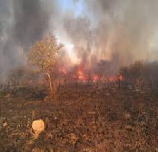 Farmers get a whistle of 'highness'! | शेतक-यांना ‘हायटेन्शन’चा झटका!