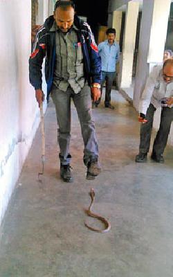 When the 'Cobra' leaves the examination center ... | परीक्षा केंद्रातच ‘कोब्रा’ निघतो तेव्हा... When the 'Cobra' leaves the examination center ... | परीक्षा केंद्रातच ‘कोब्रा’ निघतो तेव्हा...