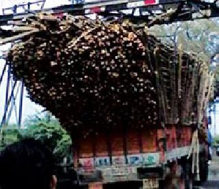 Much of the heavy traffic congestion | जड वाहतूकदारांच्या आवळणार मुसक्या Much of the heavy traffic congestion | जड वाहतूकदारांच्या आवळणार मुसक्या