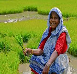 The need for big investment in the field of agriculture | कृषी क्षेत्रात मोठ्या गुंतवणुकीची गरज The need for big investment in the field of agriculture | कृषी क्षेत्रात मोठ्या गुंतवणुकीची गरज