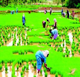Agricultural debt target increase | कृषी कर्ज लक्ष्यात वाढ