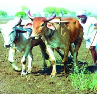 Hopeless budget for agriculture, irrigation sector | शेती, सिंचन क्षेत्रासाठी निराशाजनक अर्थसंकल्प Hopeless budget for agriculture, irrigation sector | शेती, सिंचन क्षेत्रासाठी निराशाजनक अर्थसंकल्प