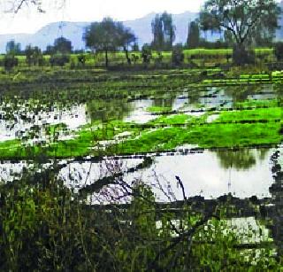 Farmer's breakdown | शेतक-यांचे मोडले कंबरडे