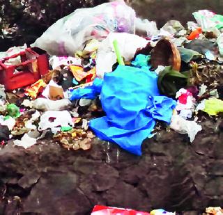 1200 kg plastic bags seized | १२०० किलो प्लास्टिक पिशव्या जप्त