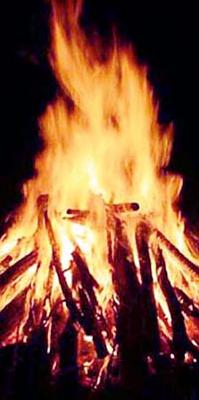 The forest cover of 89 lakhs is ash | ८९ लाखांची वनसंपदा राख