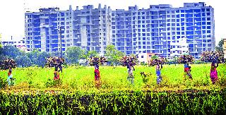 I have a stomach in my moonlight ... | माझ्या चंद्रमौळीतही पेटते चूल...