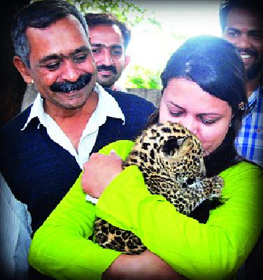 The leopard's cottage got the rightful house | बिबट्याच्या बछड्याला हक्काचे घर मिळाले