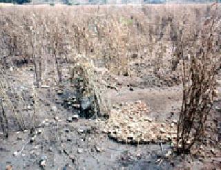 Against the torrential rain | पुन्हा वादळी पावसाचा तडाखा