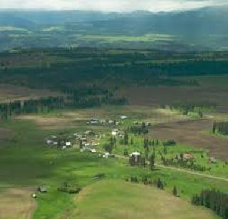 Many threats to biodiversity in the Alibag area | अलिबाग परिसरातील जैवविविधतेला अनेक धोके