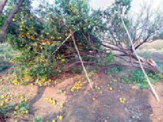 Mamedpur destroyed | ममदापूर उद्ध्वस्त Mamedpur destroyed | ममदापूर उद्ध्वस्त