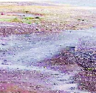 Damage of onion, tomato crops | कांदा, टोमॅटो पिकांचे नुकसान