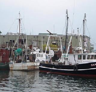 Coin color to fishing boats | मासेमारी नौकांना सांकेतिक रंग