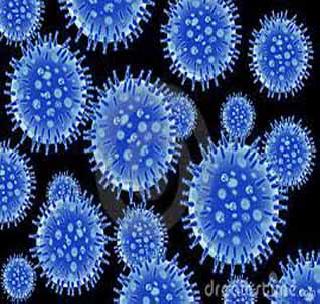 Health department alert for 'swine flu' | ‘स्वाइन फ्लू’साठी आरोग्य विभाग सतर्क