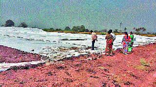 The demand for Congress to compensate promptly | तातडीने नुकसानभरपाईची कॉग्रेसची मागणी