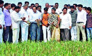 Girish Mahajan: Inspection of losses in Sinnar taluka | गिरीश महाजन : सिन्नर तालुक्यातील नुकसानीची पाहणी