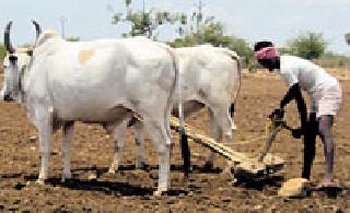 44 lakhs for the accident insurance | अपघात विम्यात शेतकऱ्यांना ४४ लाख