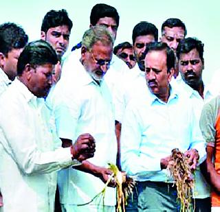 Four visits to four directions | चौघांचे दौरे चार दिशांना