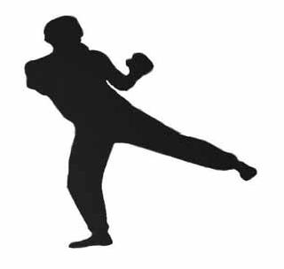 Sixth Ranked Akola in World Jitu - Kune Doe Tournament | जागतिक जित-कुने-डो स्पर्धेत अकोल्याला सहा पदके Sixth Ranked Akola in World Jitu - Kune Doe Tournament | जागतिक जित-कुने-डो स्पर्धेत अकोल्याला सहा पदके