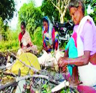 Ignore lakhs of 'Lakh' producers | लाखमोलाच्या ‘लाख’ उत्पादकांची उपेक्षा