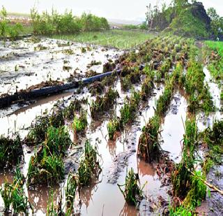 25,000 'incessant' help | २५ हजारांची ‘अवकाळी’ मदत 25,000 'incessant' help | २५ हजारांची ‘अवकाळी’ मदत