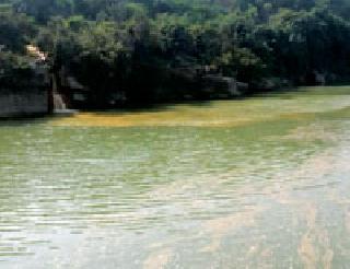 Chemistry Water in Wardha River | रसायनयुक्त पाणी वर्धा नदीत