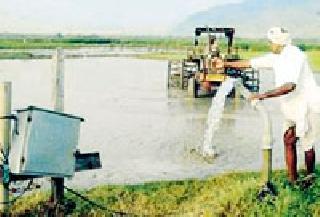 Incremental payment given to agriculture | कृषिपंपाचे दिले वाढीव देयक Incremental payment given to agriculture | कृषिपंपाचे दिले वाढीव देयक