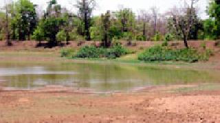 Farmers flock to the waste camp | ओसाड शिवारात फुलणार शेती