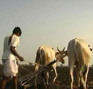 2 thousand crores assistance from the Center for the farmers of the state | राज्यातील शेतक-यांसाठी केंद्राकडून २ हजार कोटींची मदत