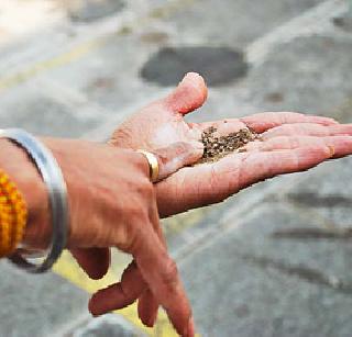 Chole Misri Mar Hukka | चोळ मिश्री मार हुक्का