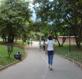 Blocking the Morning Walk | मॉर्निंग वॉकला अडथळा