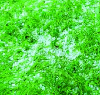 Hail again in Dhule district | धुळे जिल्ह्यात पुन्हा गारपीट